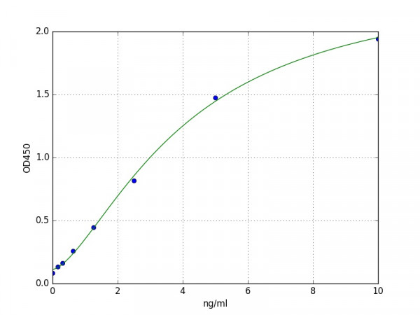Human DNMT1 ELISA Kit