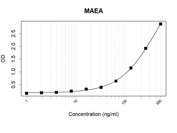 Anti-Human MAEA Antibody Pair