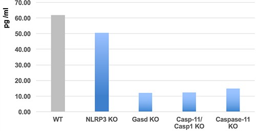Gasdermin_Fig2