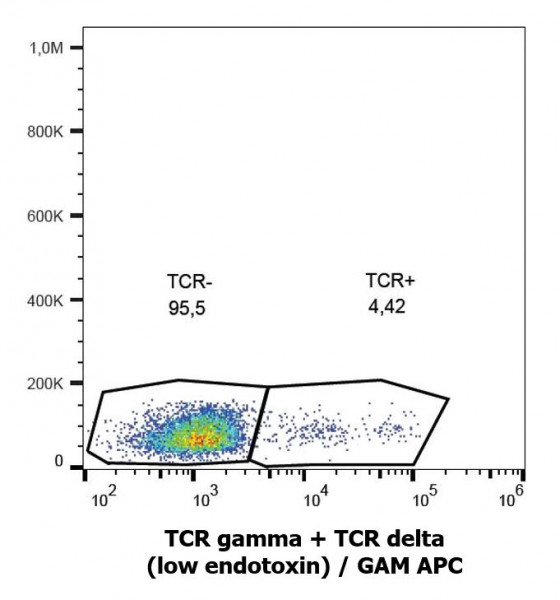 Anti-TCR gamma + TCR delta (low endotoxin), clone B1