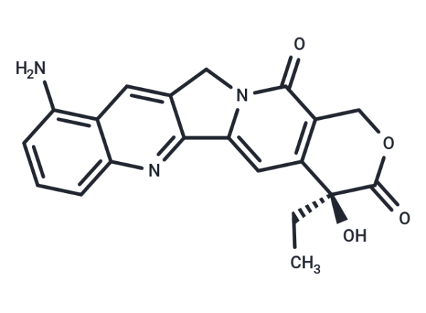 9-amino-CPT