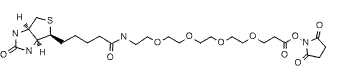 Biotin-PEG4-NHS ester
