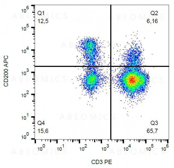 Anti-CD200 Monoclonal Antibody (Clone:OX-104)-APC Conjugated
