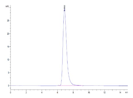 IL-18 R1/CD218a[Biotin], His &amp; Avi, Human