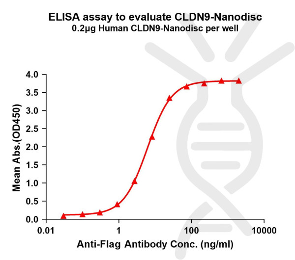 CLDN9 (human) full length protein-synthetic nanodisc
