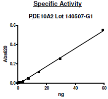 PDE10A2, active human recombinant protein