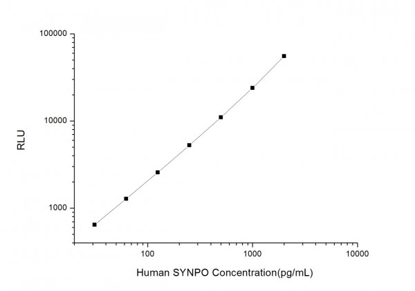 Human SYNPO (Synaptopodin) CLIA Kit