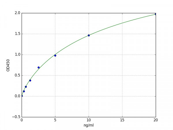Human beta Lactamase ELISA Kit