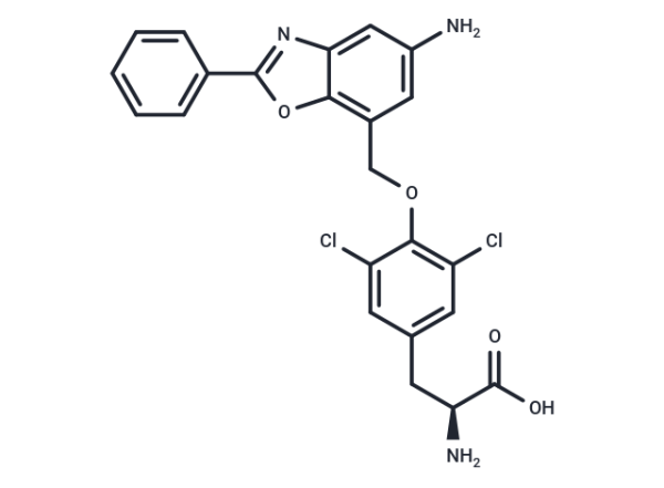 JPH203