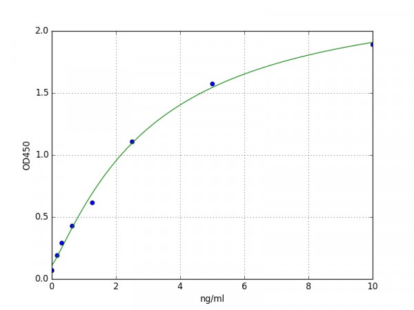 Human Stathmin 1 / STMN1 ELISA Kit