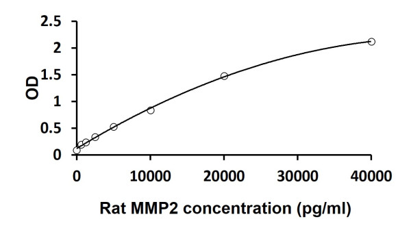 Rat MMP2 ELISA Kit
