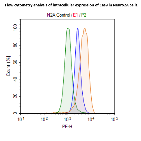 Cas9-Expressing Neuro2a Cell line - High expression