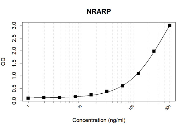 Anti-Human NRARP Antibody Pair