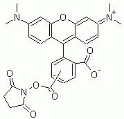 5(6)-TAMRA, SE (5-(and-6)-Carboxytetramethylrhodamine, succinimidyl ester) *Validated for labeling p