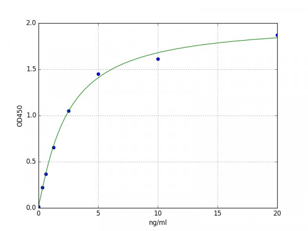 Human ornithine aminotransferase / OAT ELISA Kit