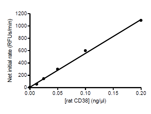 Rat CD38 Inhibitor Screening Assay Kit (Hydrolase Activity)