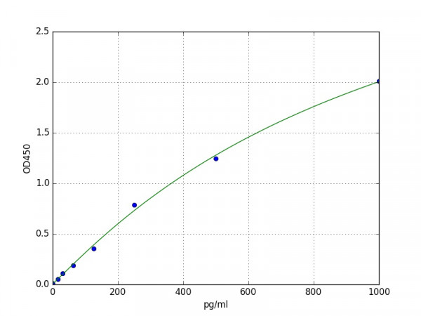 Rabbit IL1A / IL-1 alpha ELISA Kit