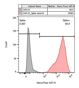 CHO-K1/Spike Stable Cell Line