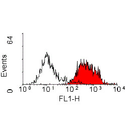 Anti-CD163 (FITC), clone ED2