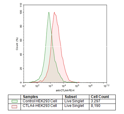 CTLA4 - HEK293 Recombinant Cell Line