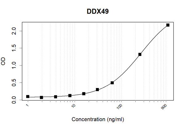 Anti-Human DDX49 Antibody Pair