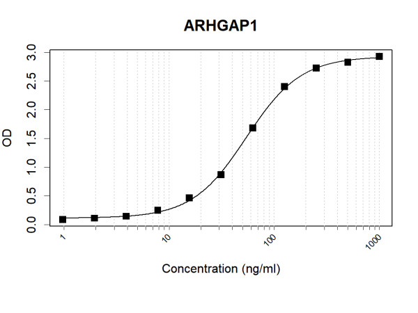 Anti-Human ARHGAP1 Antibody Pair