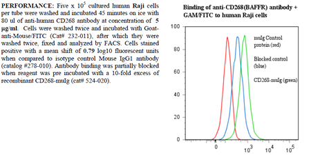 Anti-CD268 [BAFF-R] (human), clone ANC268.2/6E6, preservative free
