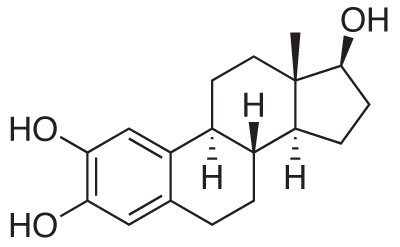 2-Hydroxy Estradiol
