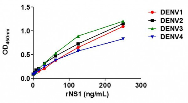 Anti-Dengue virus NS1 (Biotin), clone SQab1503