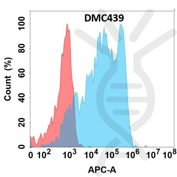 Anti-CD62L antibody(DMC439), IgG1 Chimeric mAb