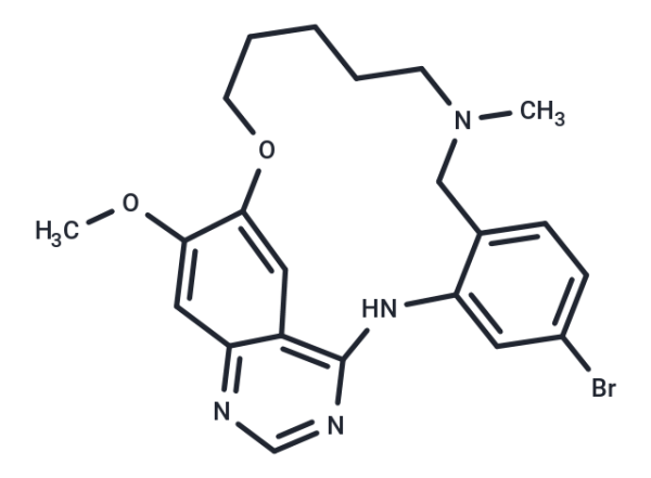 BGB-102