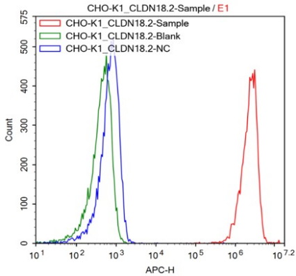 CHO-K1/CLDN18.2 Stable Cell Line