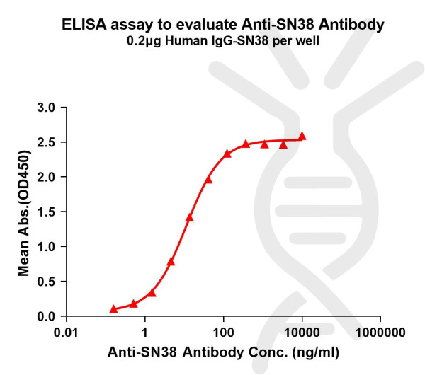 Anti-SN38 antibody(1G1), Rabbit mAb