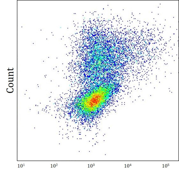 Anti-KIR3DL3 / CD158z, clone CH21
