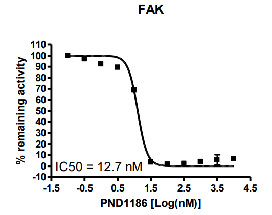 FAK Kinase Assay Kit