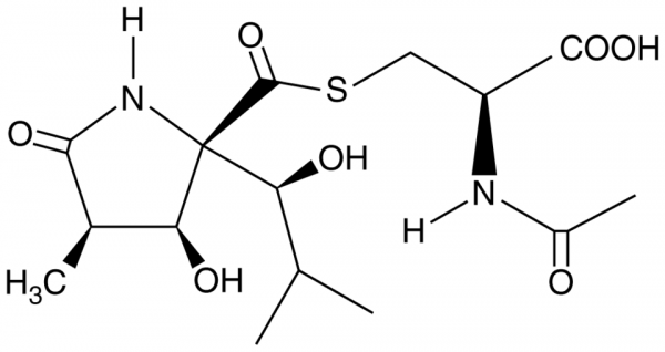 Lactacystin