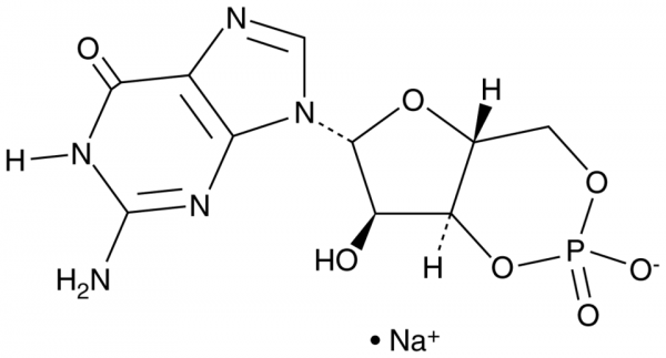 Cyclic GMP (sodium salt)