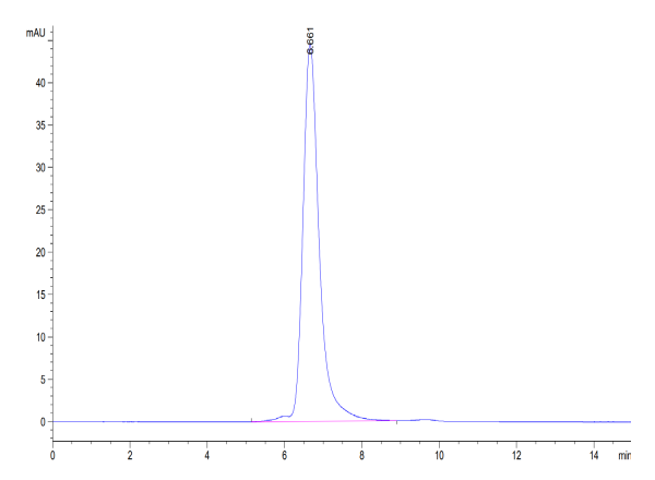 Mouse APOE/Apolipoprotein E Protein