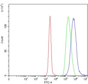 Anti-TIGD3 / Tigger transposable element-derived protein 3
