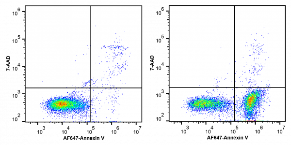 Annexin V-AF647/7-AAD Apoptosis Kit