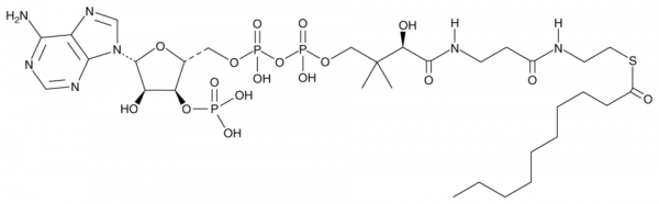 Decanoyl-Coenzyme A (hydrate)