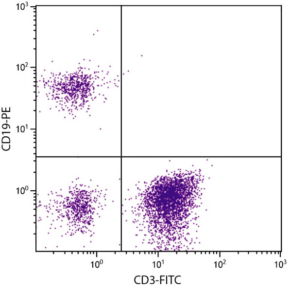 Anti-CD19 [SJ25-C1], F(ab')2 fragment (PE), clone SJ25-C1