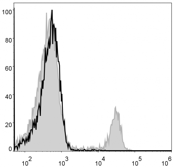 Anti-CD8a (mouse) (FITC Conjugated), clone 53.6.7