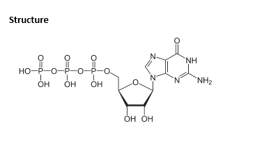 Guanosine 5&#039;-triphosphate (GTP)