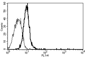 Anti-CD130 / gp130 (azide free), clone B-S12