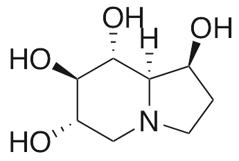 Castanospermine