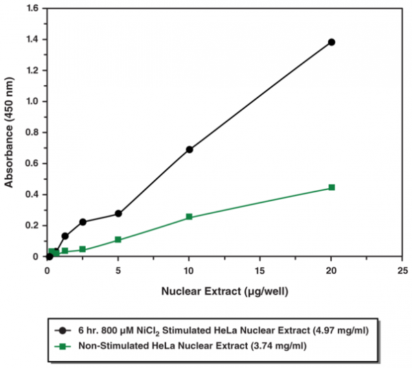 p53 Transcription Factor Assay Kit