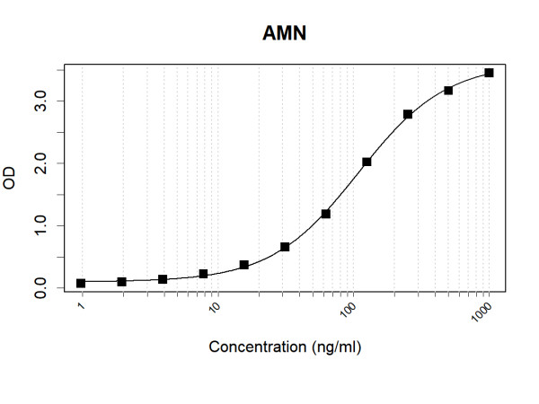 Anti-Human AMN Antibody Pair