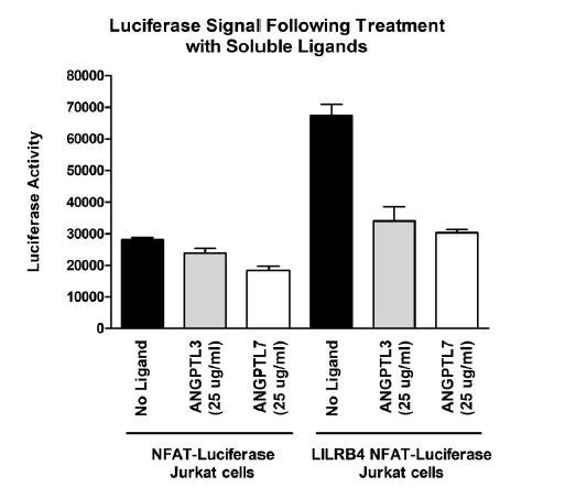 LILRB4 NFAT-Luciferase Reporter Jurkat Recombinant Cell Line