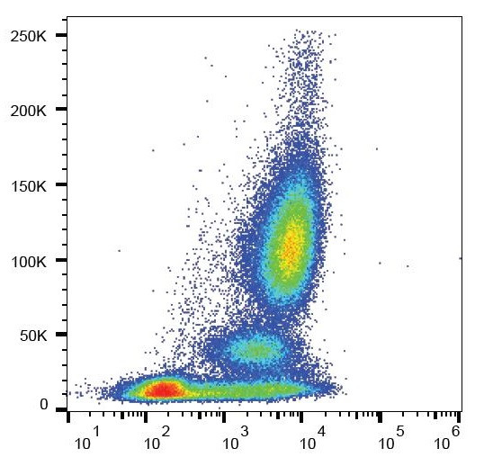 Anti-CD101, clone BB27 (PE )